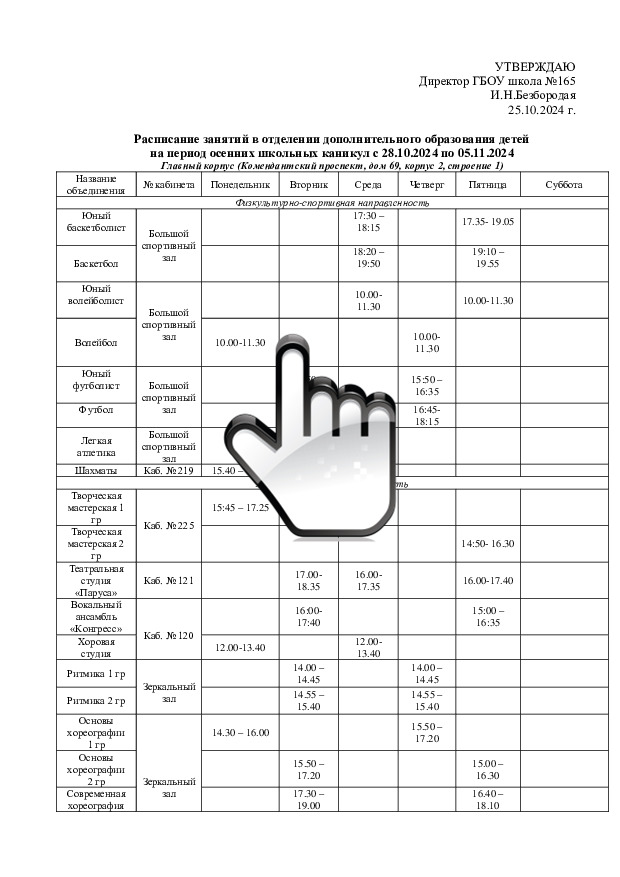 РАСПИСАНИЕ каникулы 28.10 - 05.11одод 